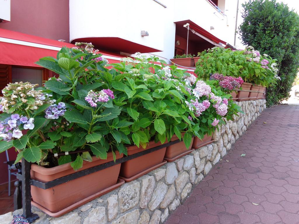 Apartmani Adrijan Krk Krk Town Exterior foto